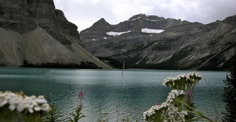 Lake Louise Bow Lake Hiking Experience