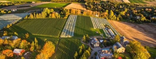 Valley Wine Tour. You will buy your own wine and meals.