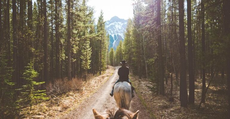 Kananaskis Mountain Horseback Trail Riding Adventure