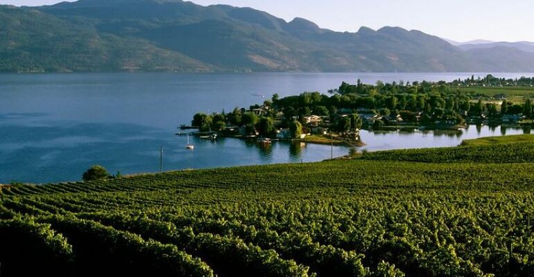 West Kelowna Scenic Wine Tasting Tour