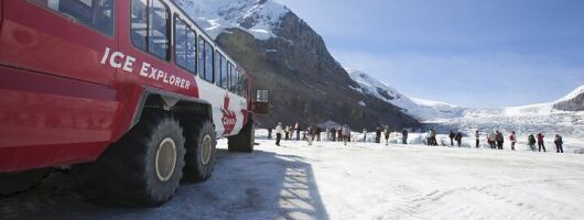 1 Day Columbia Icefield | Ice Explorer | Peyto Lake |From Calgary