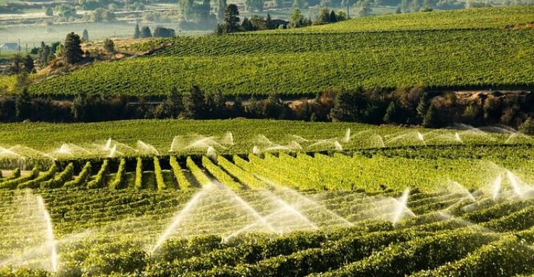 West Kelowna Private Wine Tasting Tour
