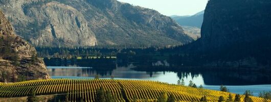 Okanagan Falls Wine Experience from Vernon - 4 Wineries