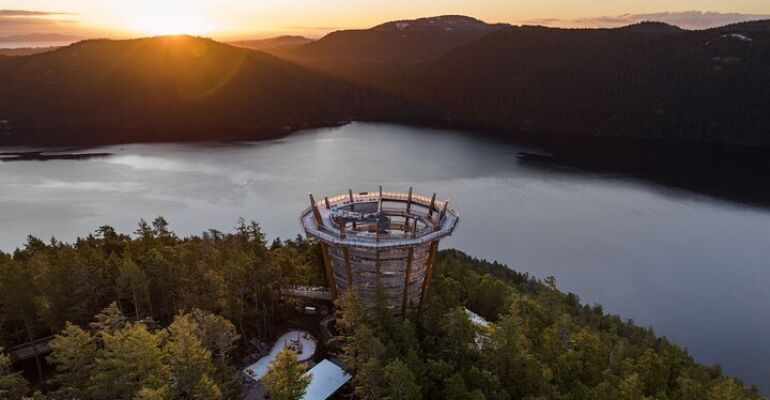 Malahat Skywalk Scenic Nature Adventure