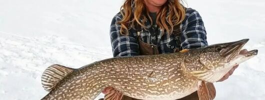 Half Day Private Guided Ice Fishing Trip in the Yukon