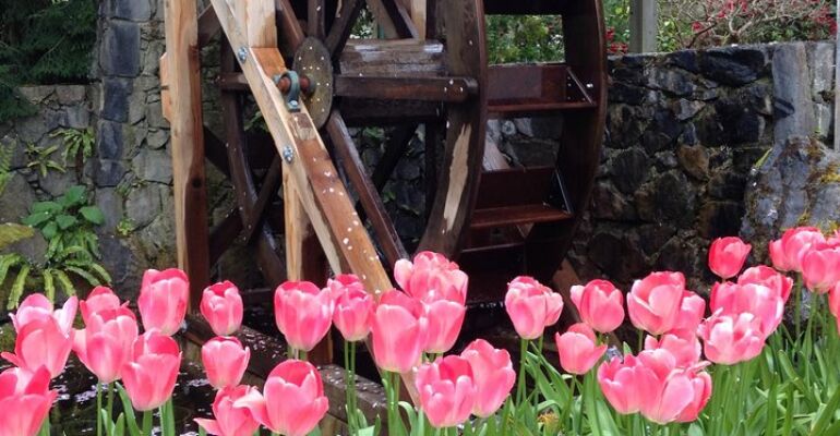 Victoria Butchart Gardens and City Tour