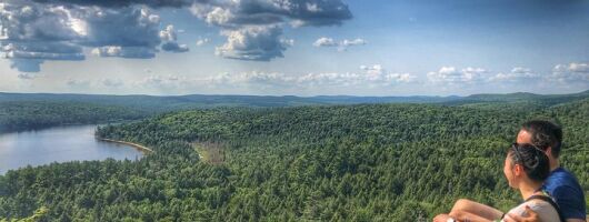 Algonquin Provincial Park Day Tour from Toronto