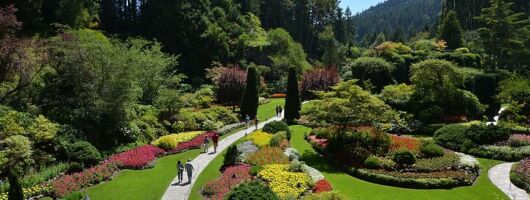 Premium Tour: Victoria Highlights & Butchart Gardens