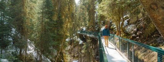 From Banff/Canmore: Lake Louise & Johnston Canyon Adventure