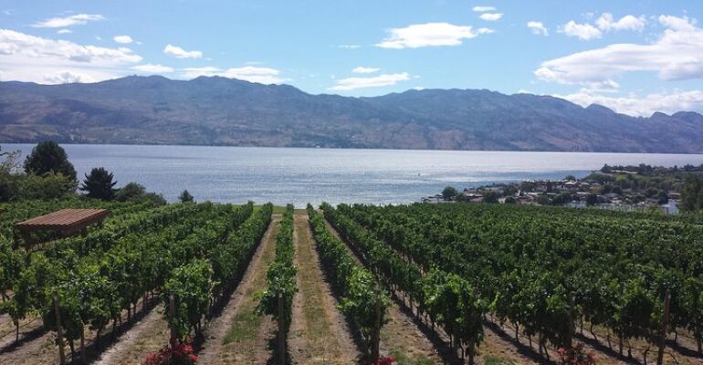 West Kelowna Wine Tasting Tour Experience