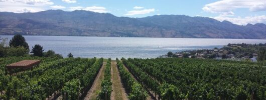 West Kelowna Gallery Of Grapes Wine Tour