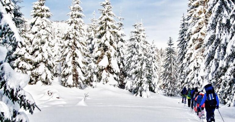 Vancouver Winter Wonderland Snowshoe Adventure