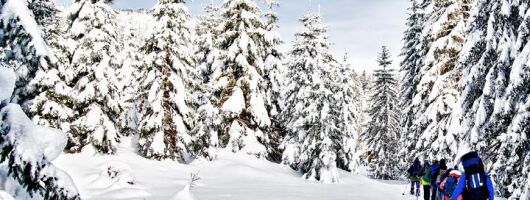 Snowshoe Through Vancouver's Winter Wonderland
