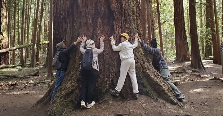 Saanich Mystical Rainforest Mindfulness Tour