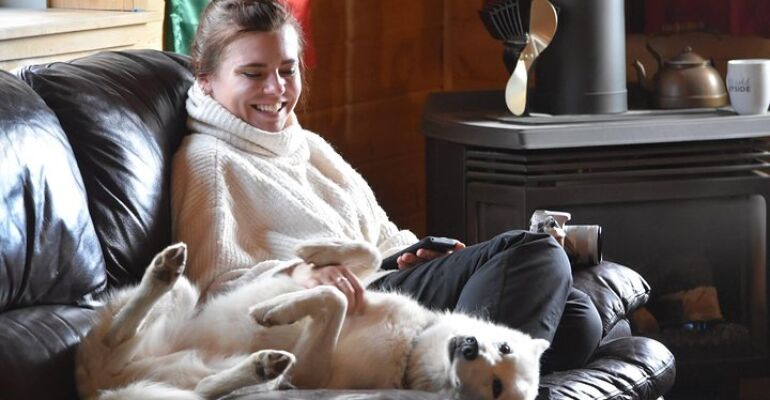 Yukon Dog Sledding and Northern Lights Lodge