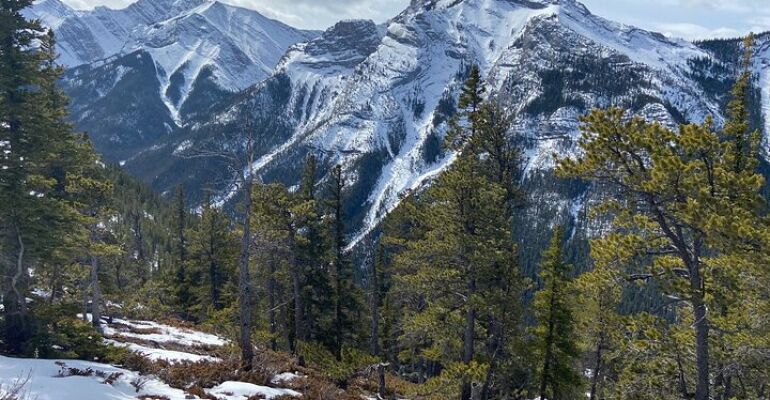 Kananaskis Golden Eagle Migration Hiking Experience