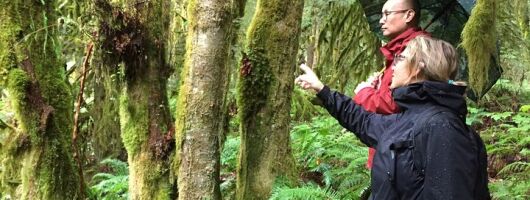 Vancouver's Coastal Forests: A Morning Exploration
