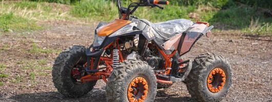 Guided ATV Wilderness Ride in North Gower