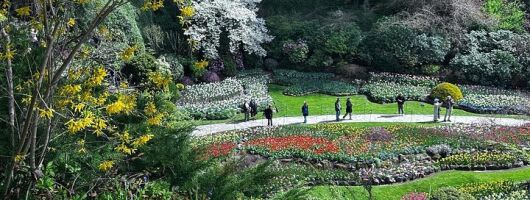 Butchart Gardens and City Highlights Tour