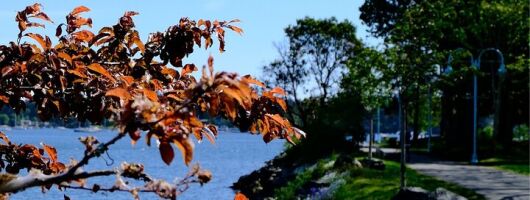 Nanaimo Urban Oasis Trail Walking Tour