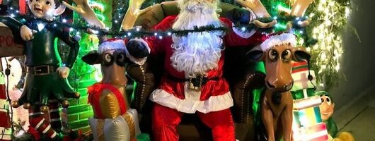 Private Fully Guided Dyker Heights Christmas Lights Tour 