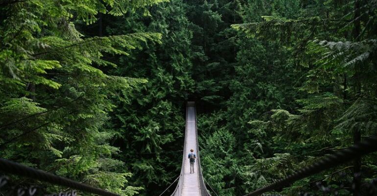 North Vancouver Grouse Mountain Adventure Tour
