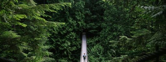 Mountain Adventure (Grouse Mountain and Capilano Suspension Bridge)