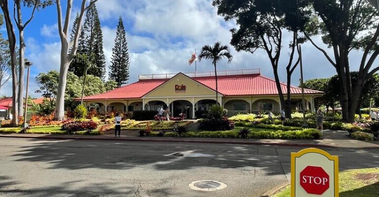 Oahu Private Customizable Island Adventure Tour