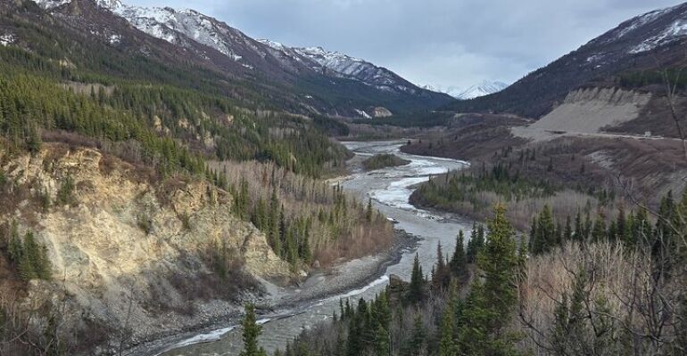 Fairbanks to Denali Comfortable Shuttle Experience