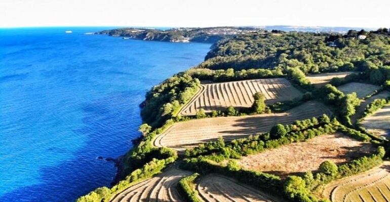 South Devon Guided Coastal and Woodland Walks