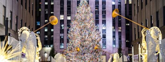 NYC Holiday Lights and Dyker Heights Luxury Bus Tour