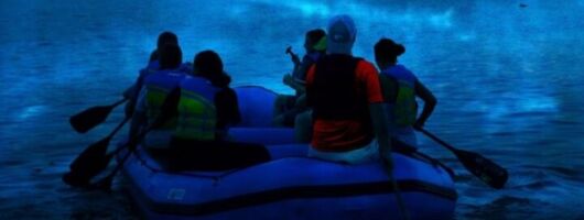 Bioluminescence Rafting Boat Tour Wildlife Refuge