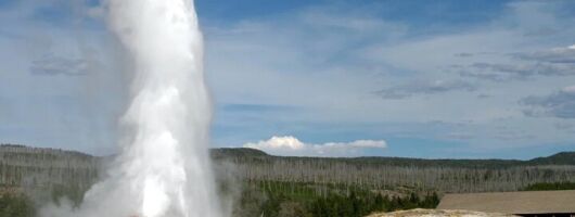 Yellowstone Private Tour