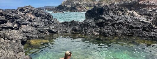 Island of Maui Customized Half Day Tour