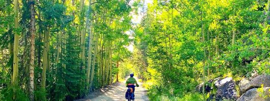 E-Bike & Brews: Denver's Platte River and Breweries E-Bike Tour