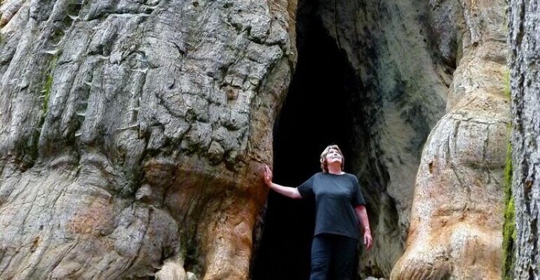 Yosemite National Park Private Hiking Tour