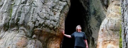 Glacier Point and Giant Sequoias 2 Day Private Hiking Tour 