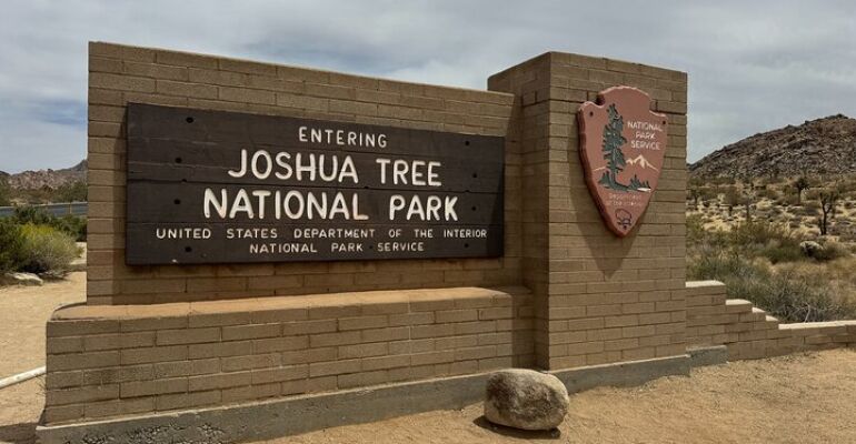 Joshua Tree Private Adventure Day Trip