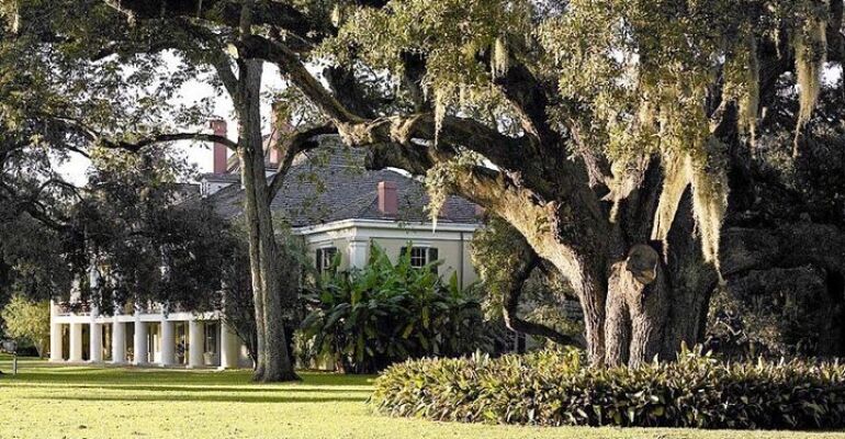 New Orleans Plantation and Swamp Adventure Tour