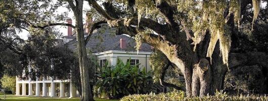 Nawlins Luxury Destrehan Plantation and Airboat Tour 