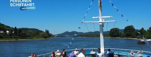 From Bonn on the Rhine to Linz Sightseeing Boat Tour