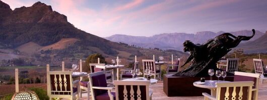 Wine Tasting Day Tour from Cape Town