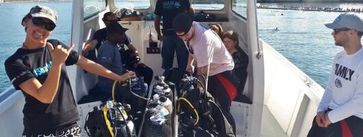 Shark Cage Diving Thrill Seekers Paradise