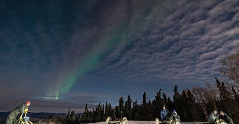 Fairbanks Dog Sledding and Aurora Viewing