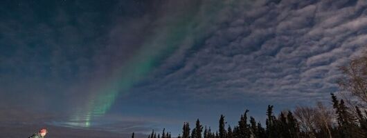 Dog Sledding and Northern Lights Combo Night