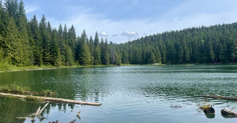 Whistler Nature and Culture Guided Walk