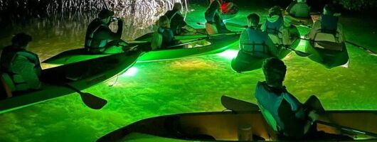 Sharkeys Glass Bottom Fish Feeding LED Night Tour Key West