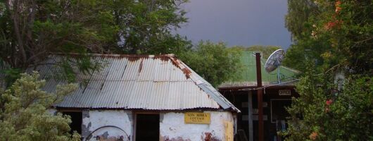 Historic Homestead Tour with Morning Tea