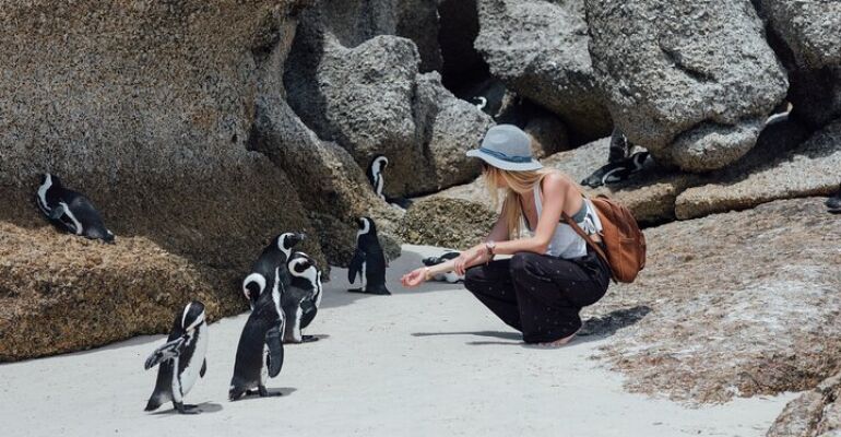 Cape Town Boulders Beach and Cape Tour