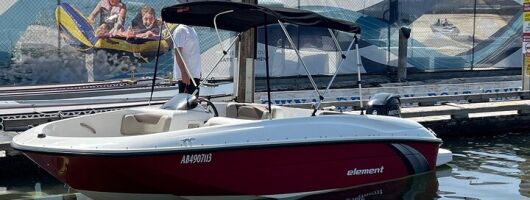 Bayliner Element 60HP Boat 